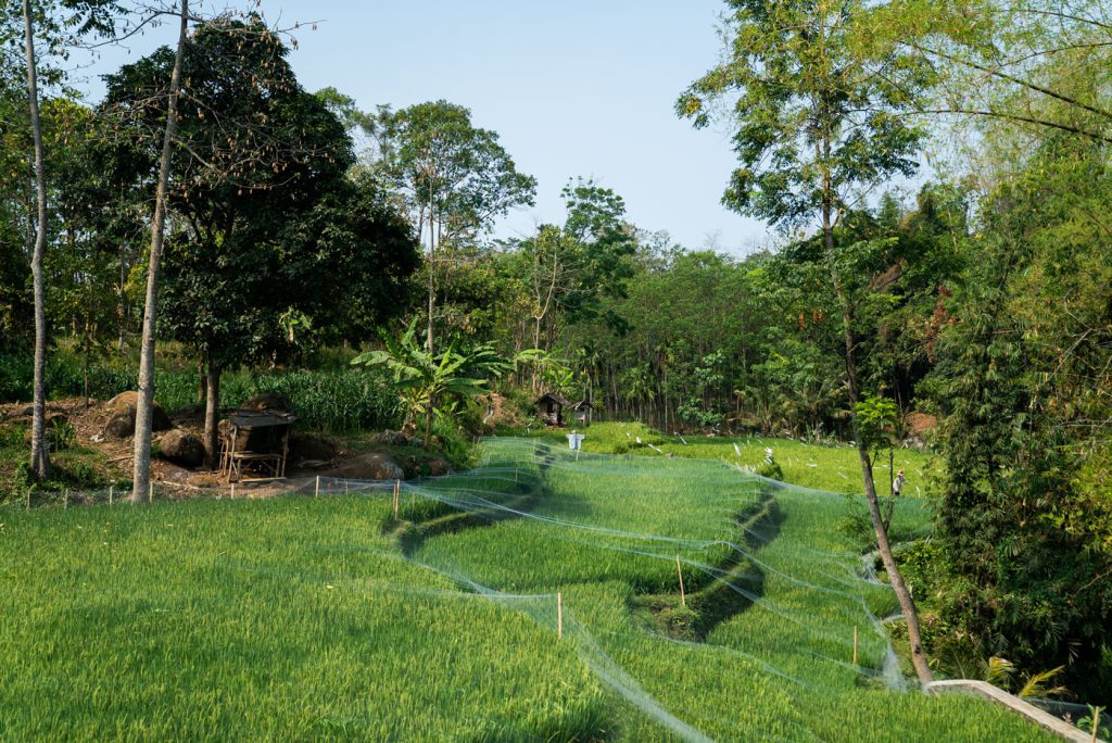 produsen benang jahit yang berkelanjutan