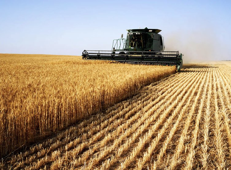 filo di chiusura del sacco per l'industria agricola